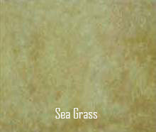 Sea Grass Concrete Stain