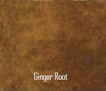 Ginger Root Acid Stain 